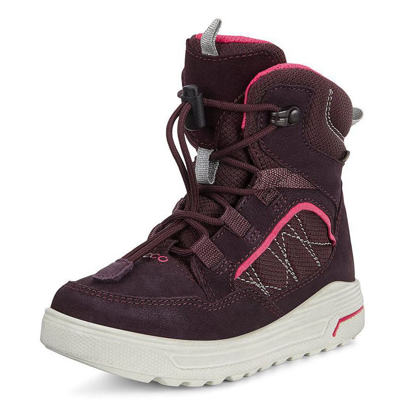 Kids Ecco Urban Snowboarder - Flats Shoe Purple - India ZLAHRM762